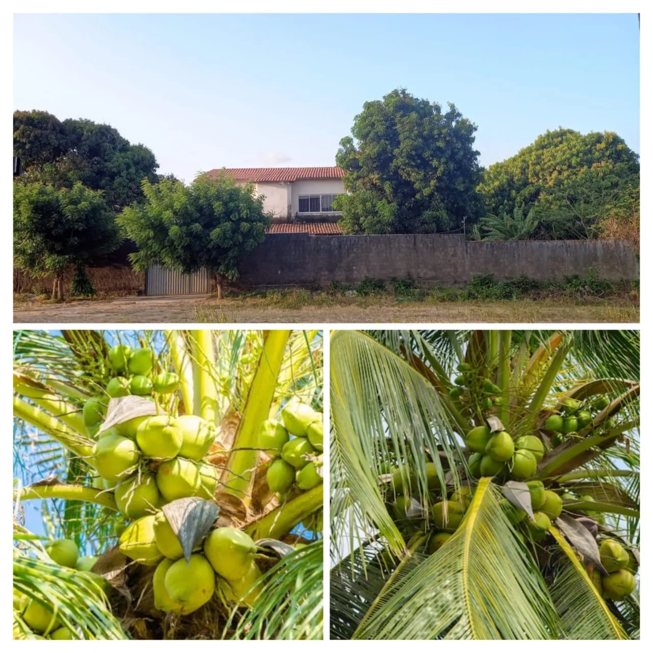 Chácara com casa em terreno de 900m2 - Foto 1
